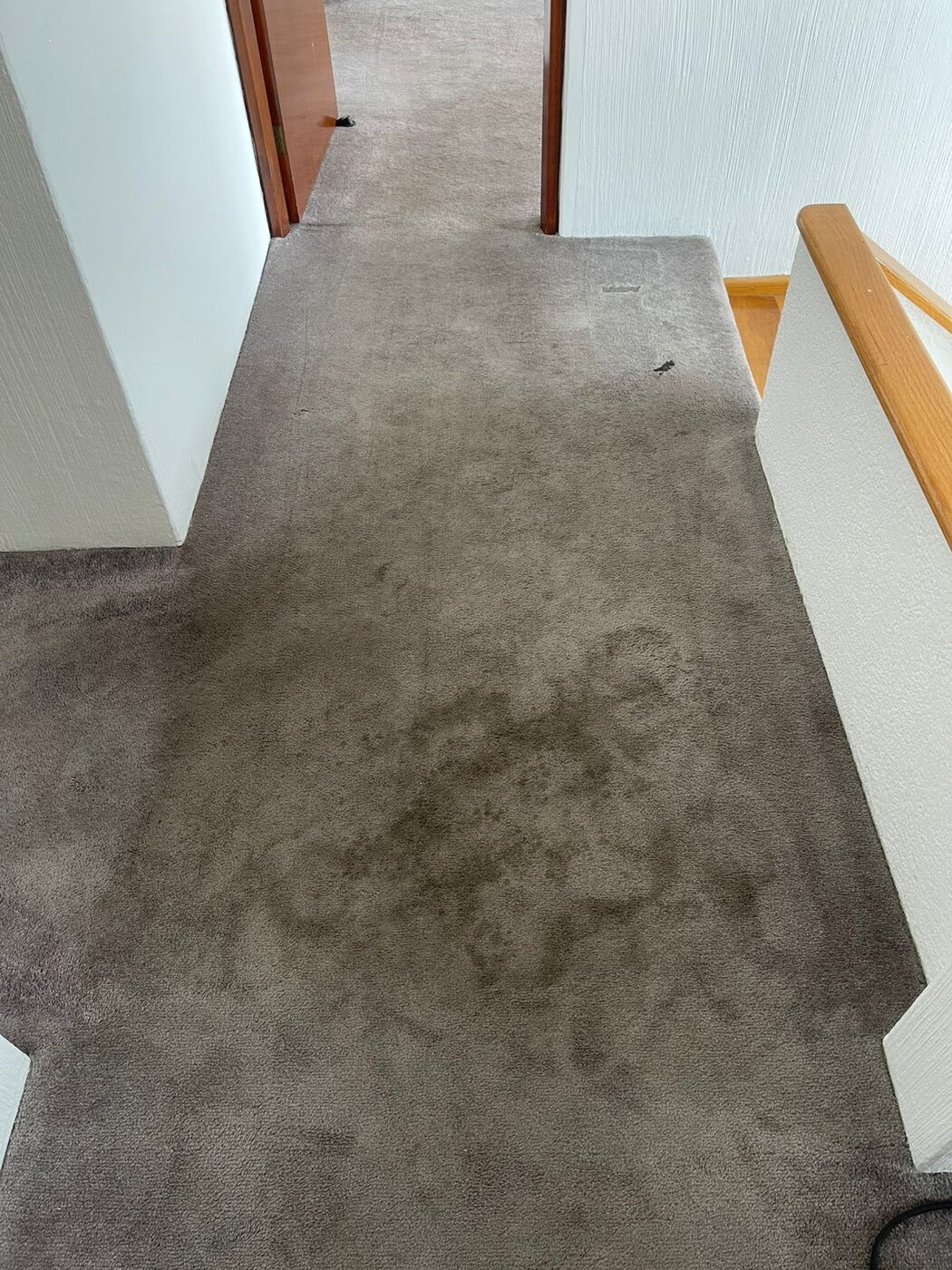 Alfombra de área antes
